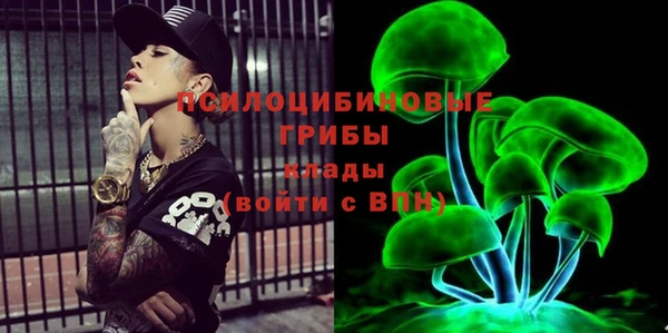 apvp Воткинск