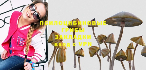 спайс Иннополис